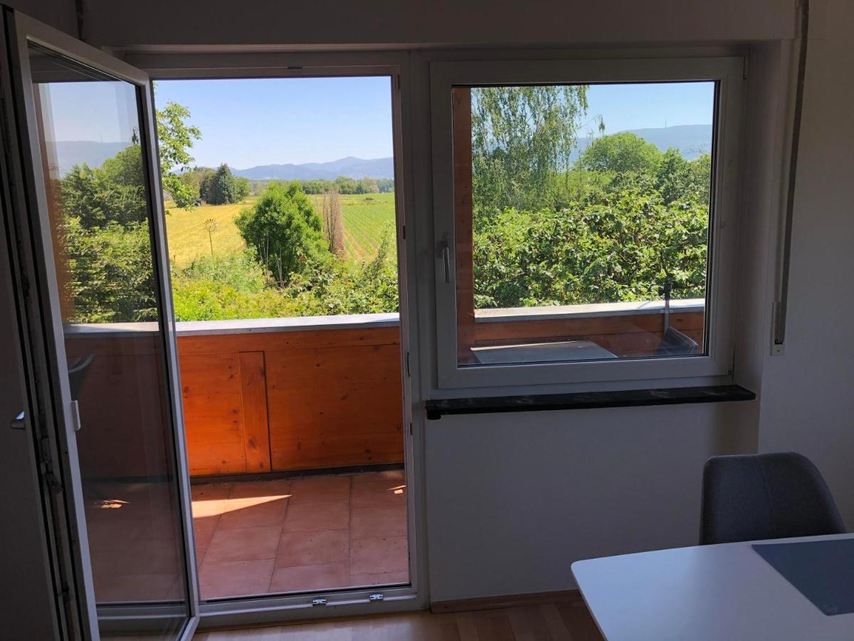 Haus Schwarzwaldblick Apartment Ахерн Екстериор снимка