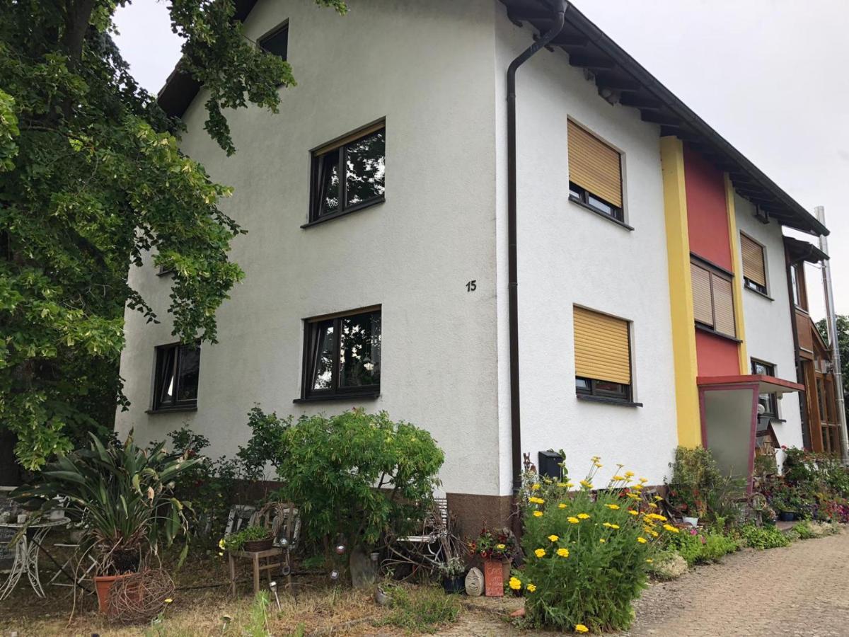 Haus Schwarzwaldblick Apartment Ахерн Екстериор снимка